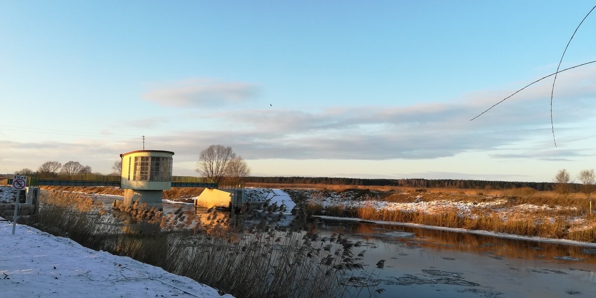 tam, w górze jakiś ptak