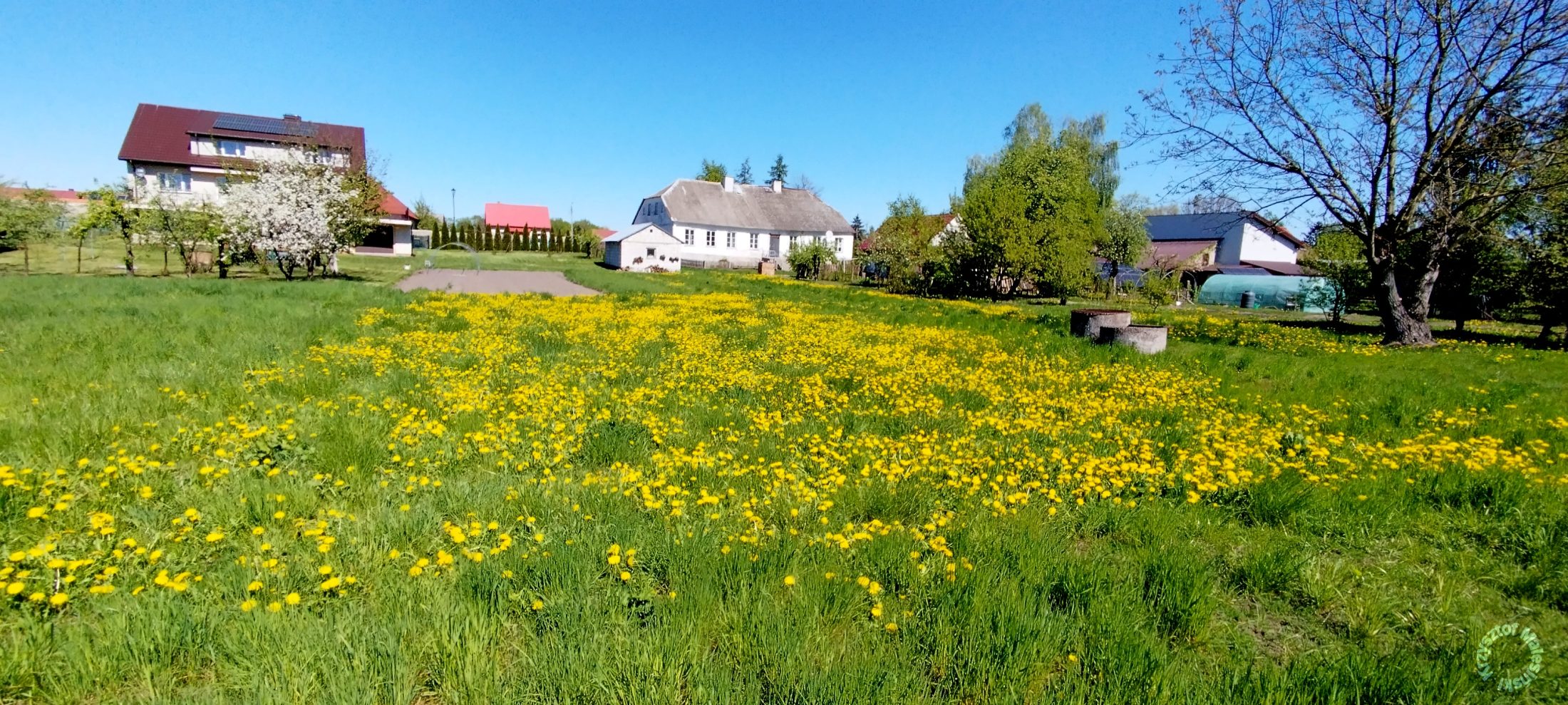 IMG 20250427 114051 2