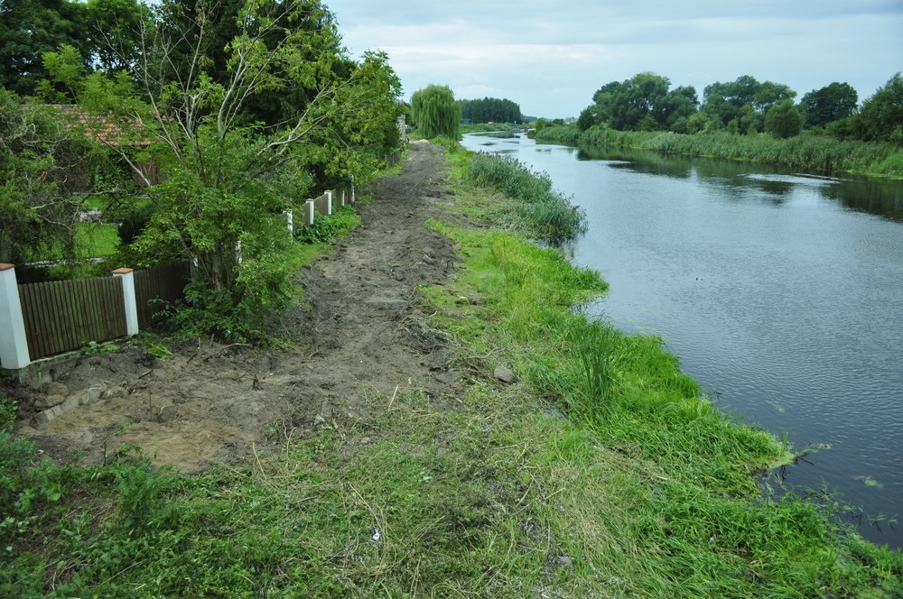 usunięto już pnie ściętych drzew