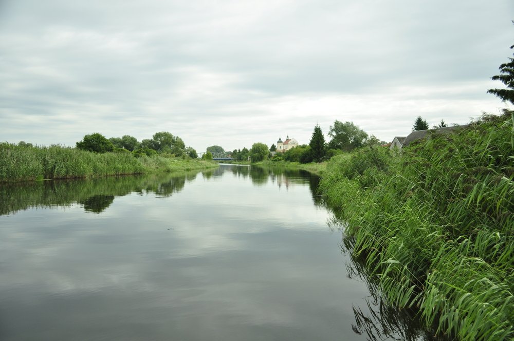 i niech tak zielono zostanie