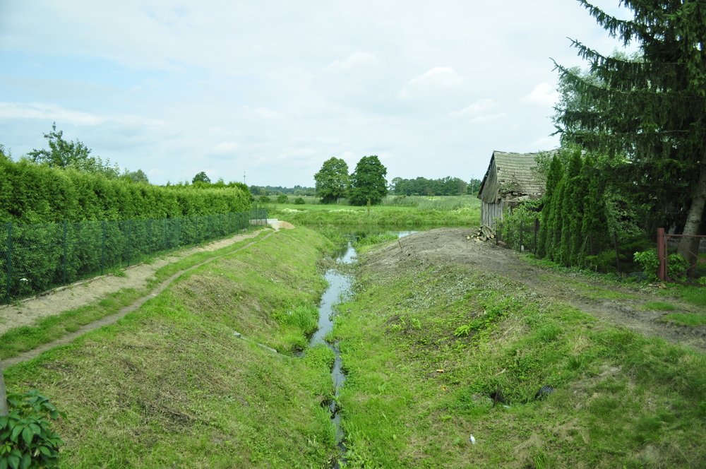 widok na ujście Motławy