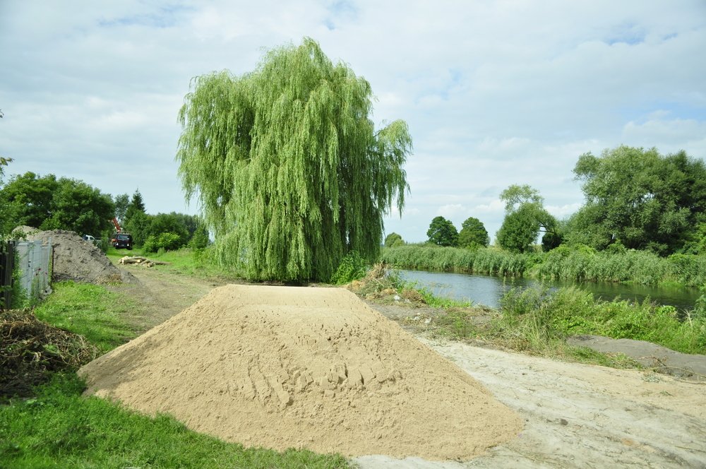  Wierzba stoi i stać będzie