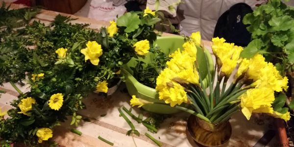 24 kwiecień 19:15 pół palmy gotowe