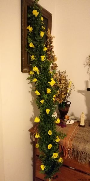 24 kwiecień 20:16 palma gotowa, w ponad 2 godziny