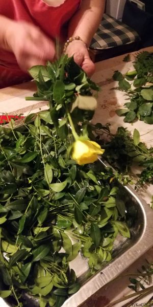 24 kwiecień 20:53 już druga palma się tworzy