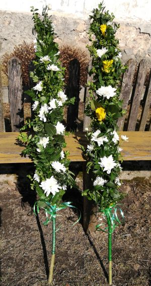 25 kwiecień 10:58 dwie mniejsze palemki (2 jak 1 duża)