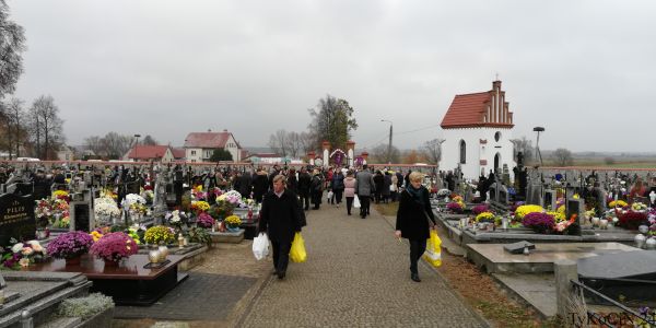 kwesta cmentarna 2019