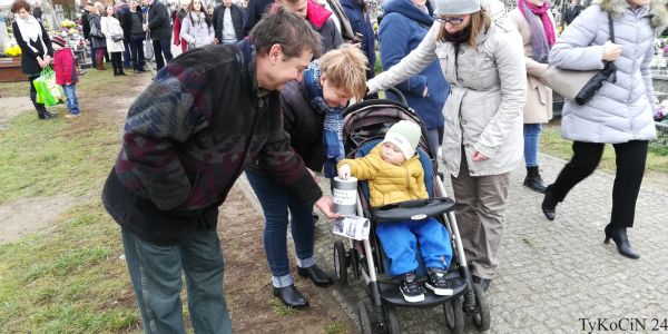 kwesta cmentarna 2019