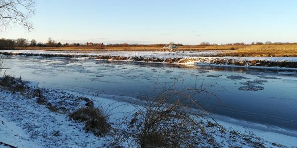 pięknie wygląda Narew zimą