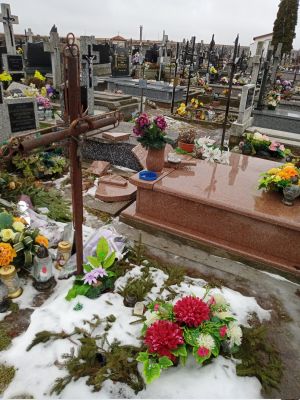 IMG 20220126 124030 8