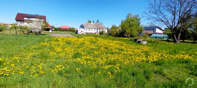 IMG 20250427 114051 2