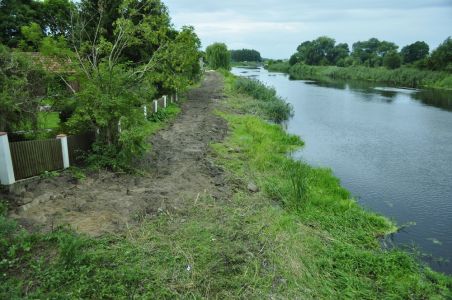 usunięto już pnie ściętych drzew