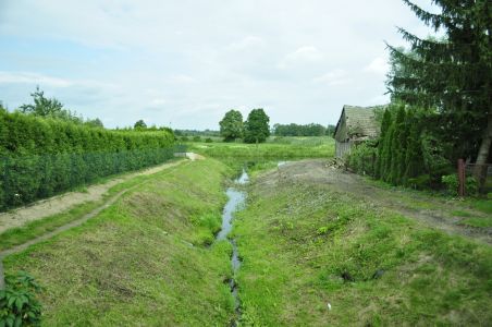 widok na ujście Motławy
